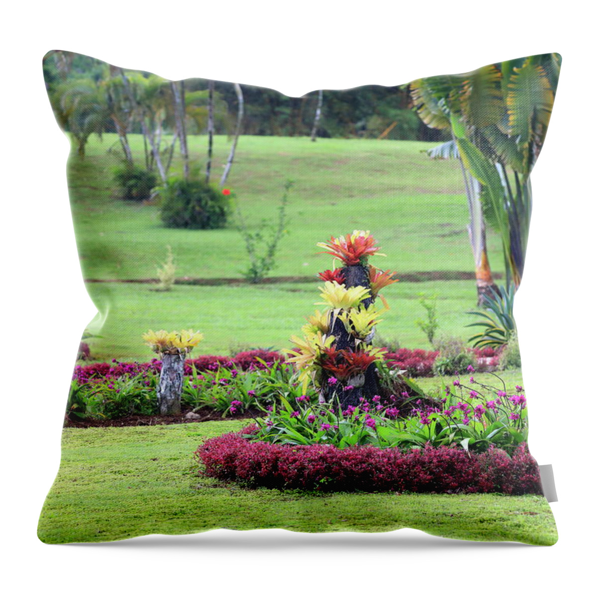 Western floral garden Throw Pillow
