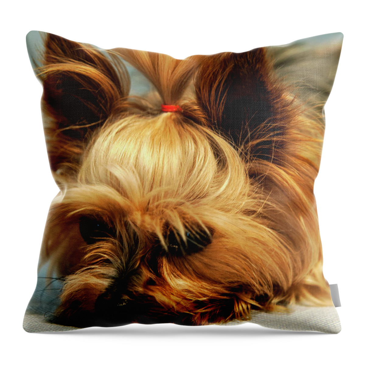 Estock Throw Pillow featuring the digital art Yorkshire Terrier by Glowcam