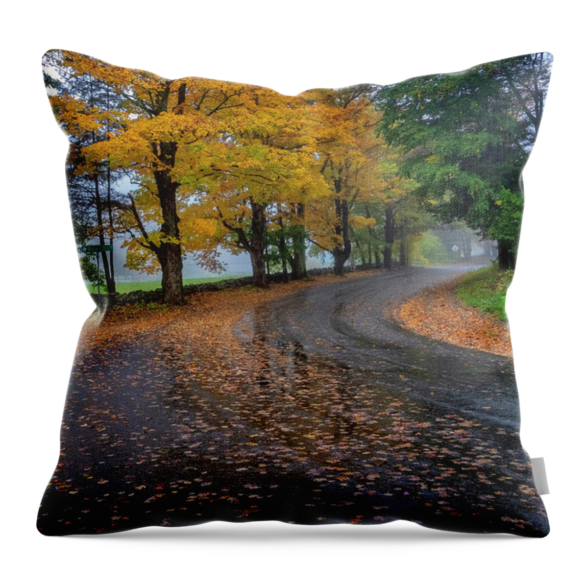 Spofford Lake New Hampshire Throw Pillow featuring the photograph Autumn Road by Tom Singleton