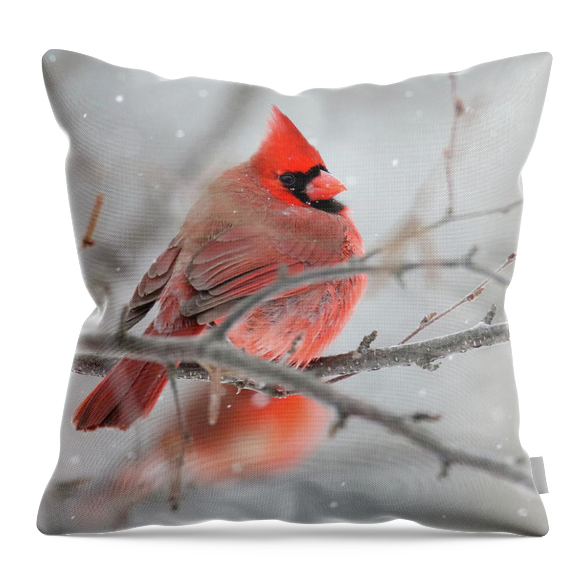 Cardinal Throw Pillow featuring the photograph Snowy Cardinal by Brook Burling