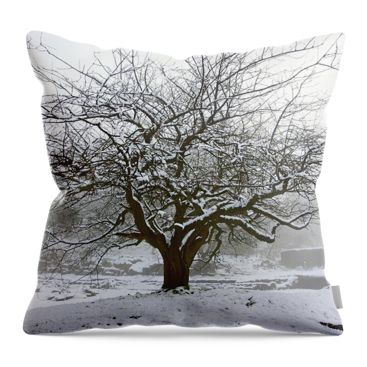 Rivington Throw Pillow featuring the photograph 30/01/19 RIVINGTON. Japanese Pool. Snow Clad Tree. by Lachlan Main