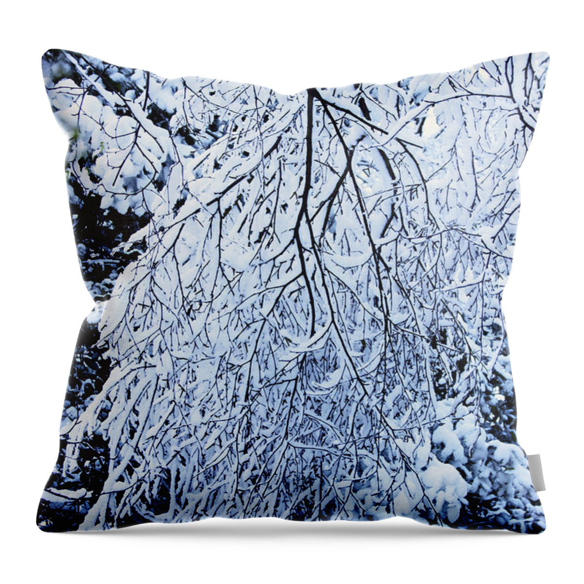 Rivington Throw Pillow featuring the photograph 30/01/19 RIVINGTON. Snow Covered Branches. by Lachlan Main