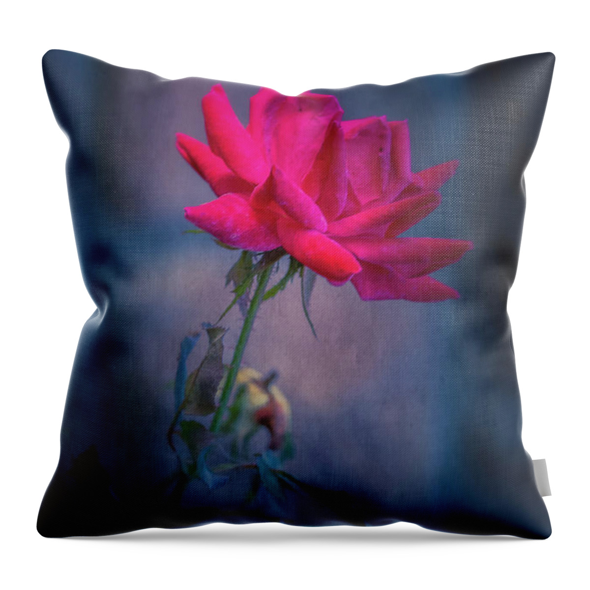 Rose Throw Pillow featuring the photograph Rose of Summer by Allin Sorenson