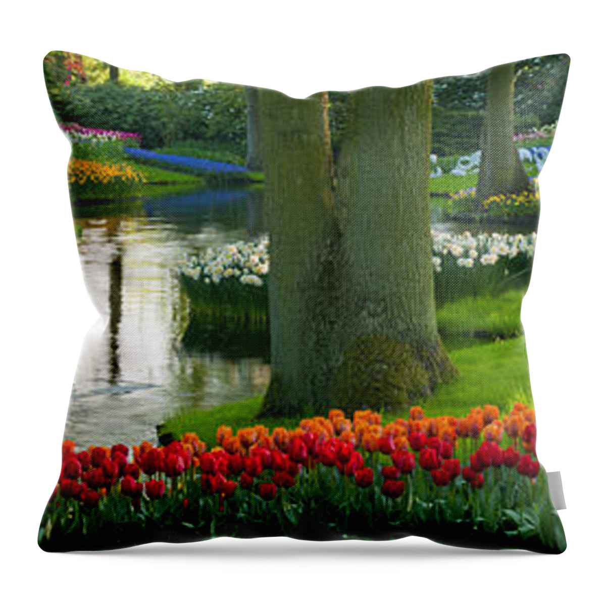 Scenics Throw Pillow featuring the photograph Spring Flowers In A Park by Jacobh