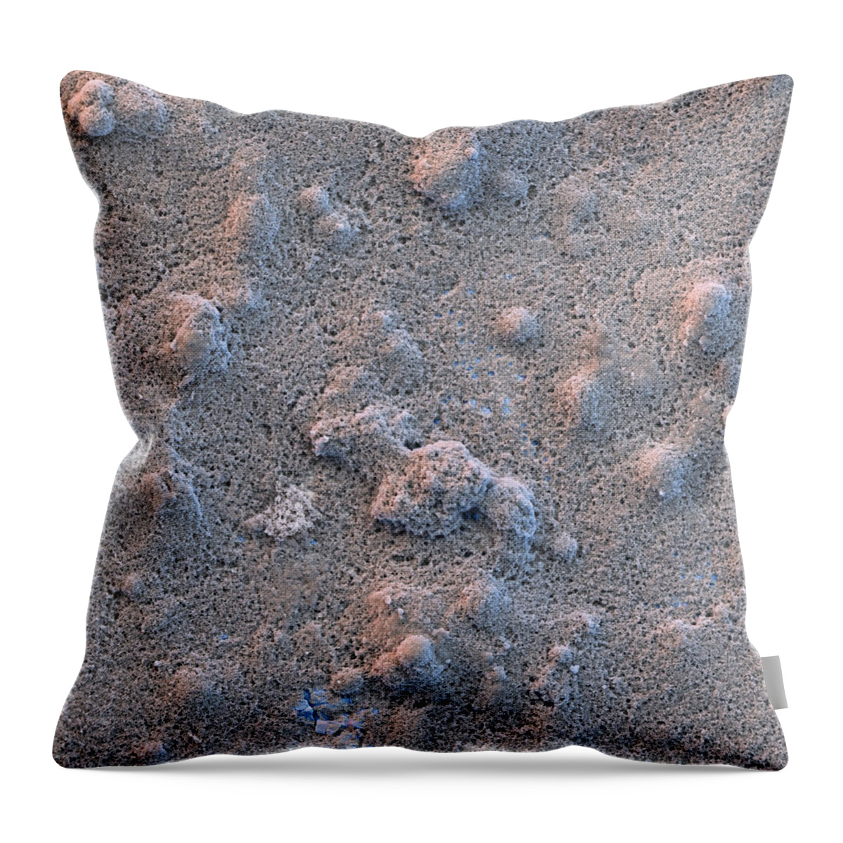 Coated Throw Pillow featuring the photograph Self-cleaning Paint Sem #6 by Meckes/ottawa