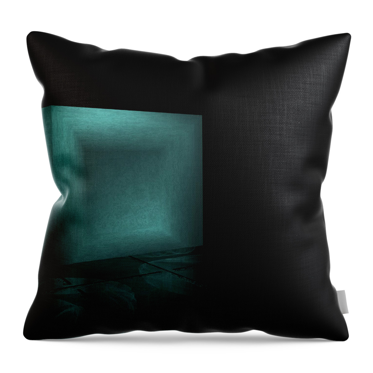 Box Throw Pillow featuring the digital art A Box Alone by Bernie Sirelson