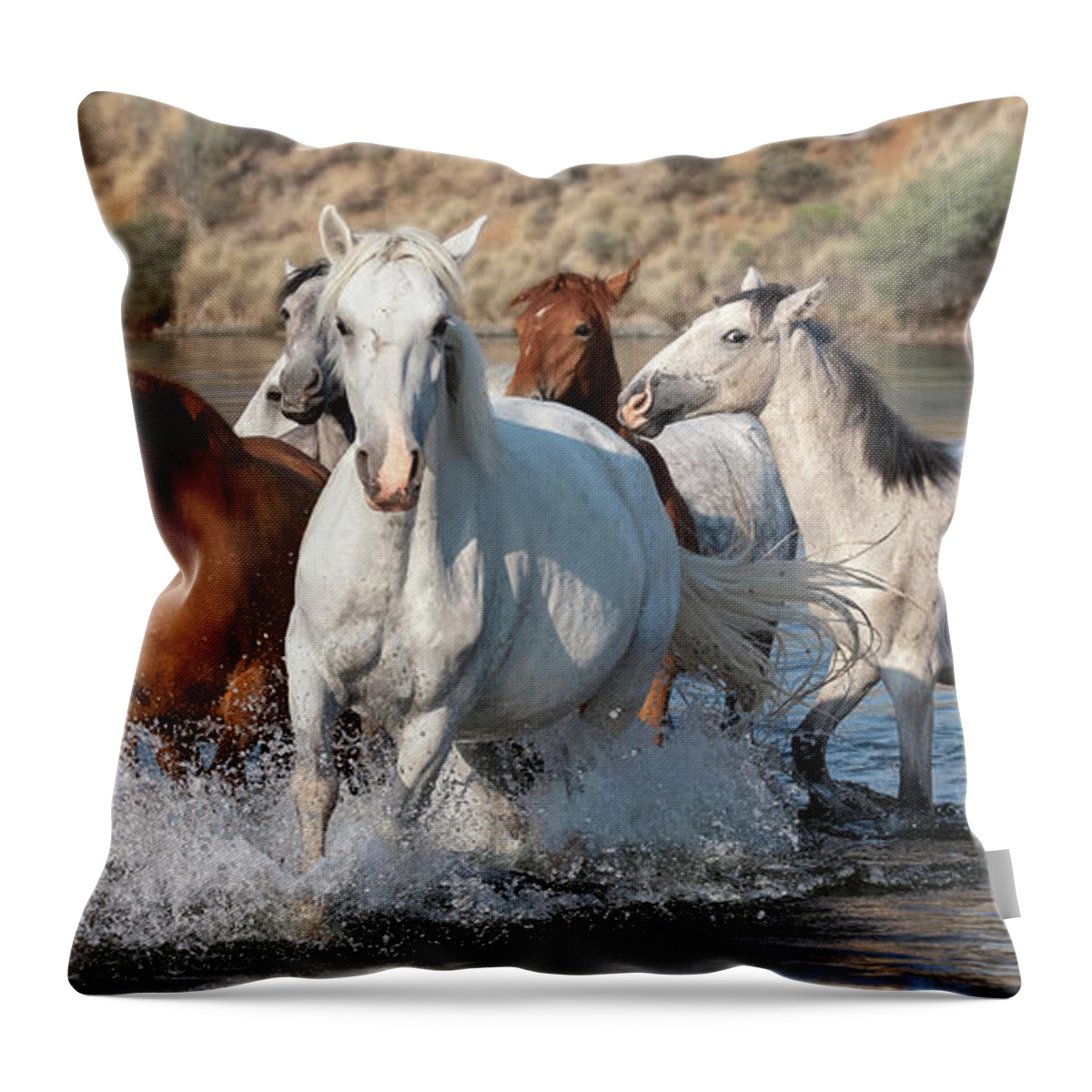  Throw Pillow featuring the photograph A Colorful Band. by Paul Martin