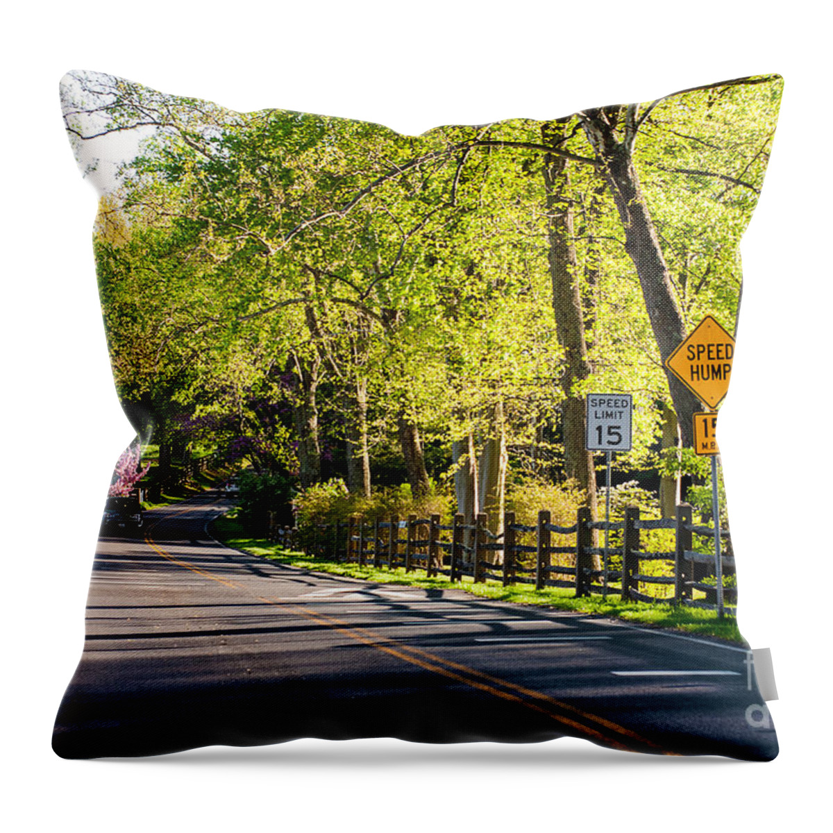 Landscape Throw Pillow featuring the photograph A Country Lane on a Springtime Afternoon by Steve Ember