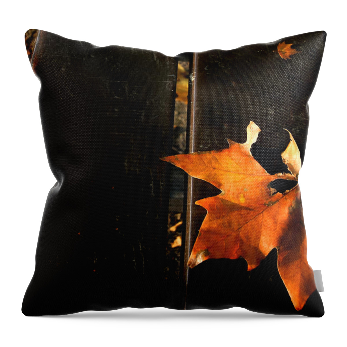 Autumn Throw Pillow featuring the photograph A Park Bench in Autumn by Steve Ember