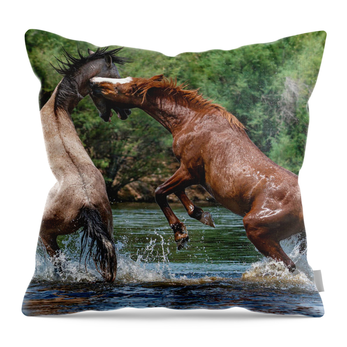 Stallion Throw Pillow featuring the photograph A Sorrel's Counter-Attack. by Paul Martin