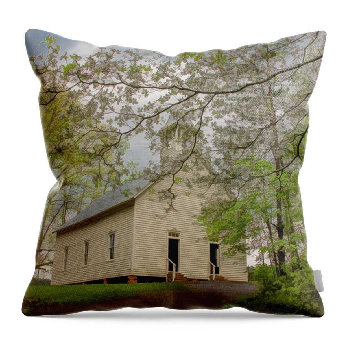 Cades Cove Throw Pillow featuring the photograph A Soft, Misty, Dogwood Kind of Morning by Marcy Wielfaert