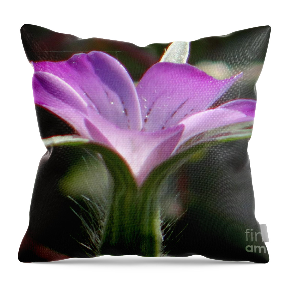 Flower Throw Pillow featuring the photograph A study in lilac by Karin Ravasio