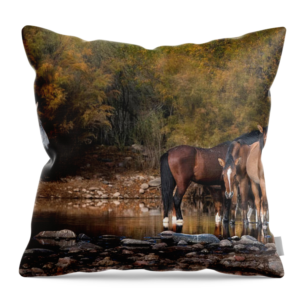 Stallion Throw Pillow featuring the photograph A Watchful Eye. by Paul Martin