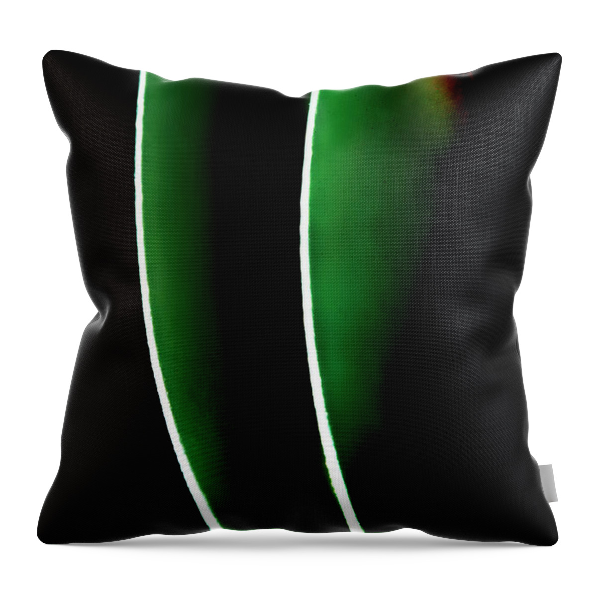 Fine Art Photography Throw Pillow featuring the photograph Abstract #3 by John Strong