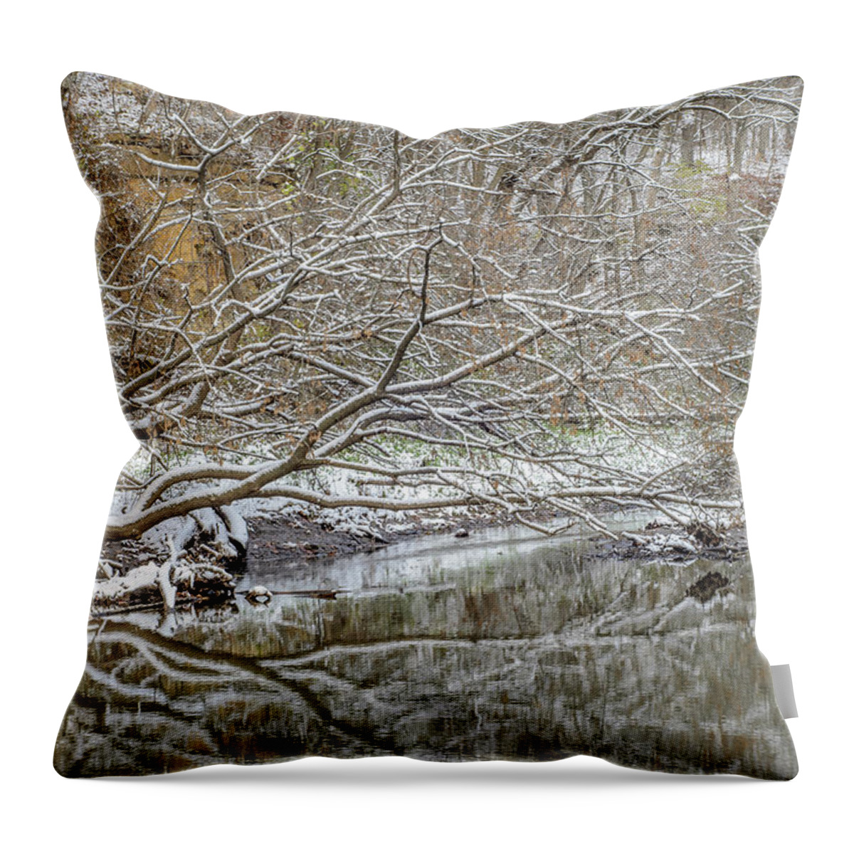 Trees Throw Pillow featuring the photograph Abstract Snow Covered Trees by Tamara Becker