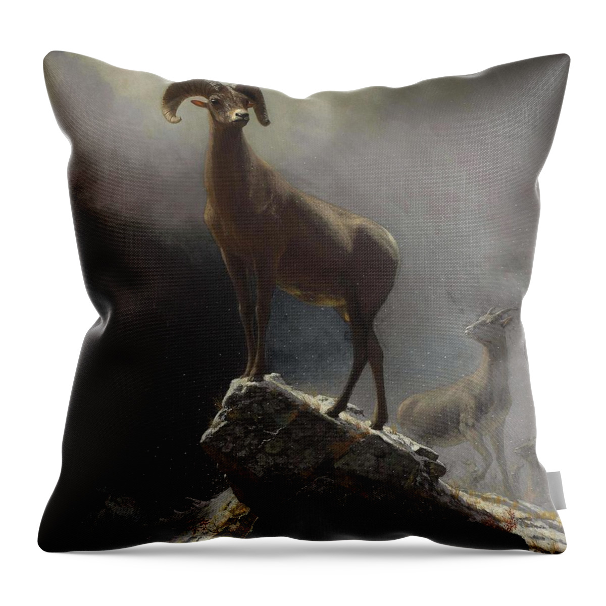 Sheep Throw Pillow featuring the painting Albert_Bierstadt_-_Rocky_Mountain_Sheep_or_Big_Horn,_Ovis,_Montana by Albert Bierstadt