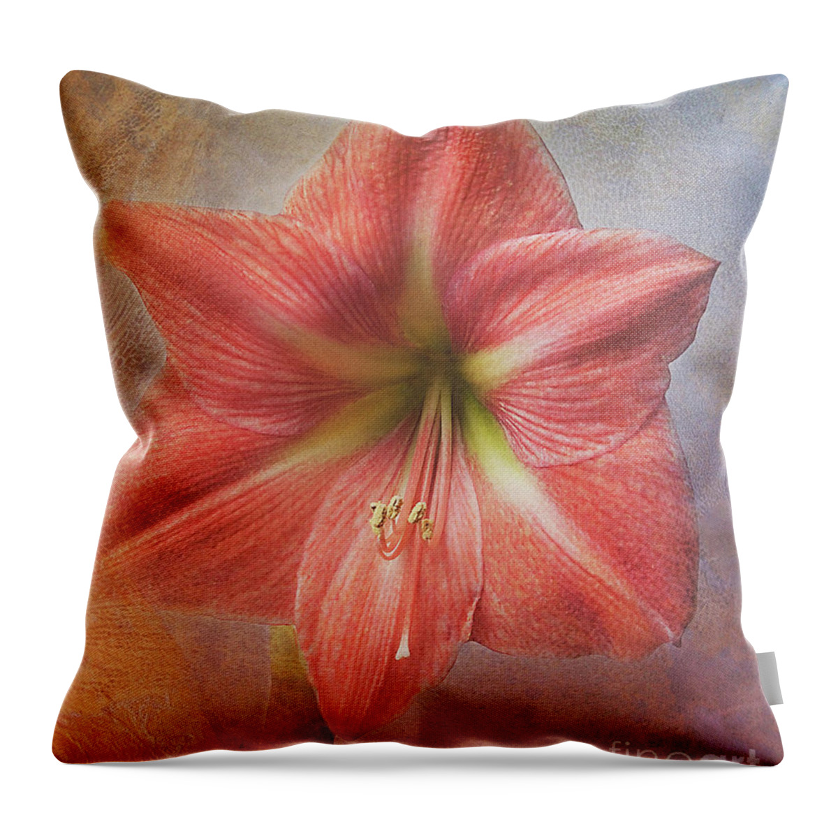 Flower Throw Pillow featuring the photograph Amaryllis 'Terra Cotta Star' by Ann Jacobson