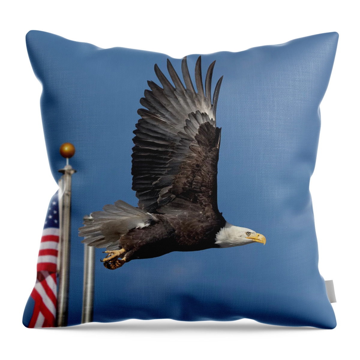 Raptor Throw Pillow featuring the photograph American Bald Eagle with Flag by Rick Mosher