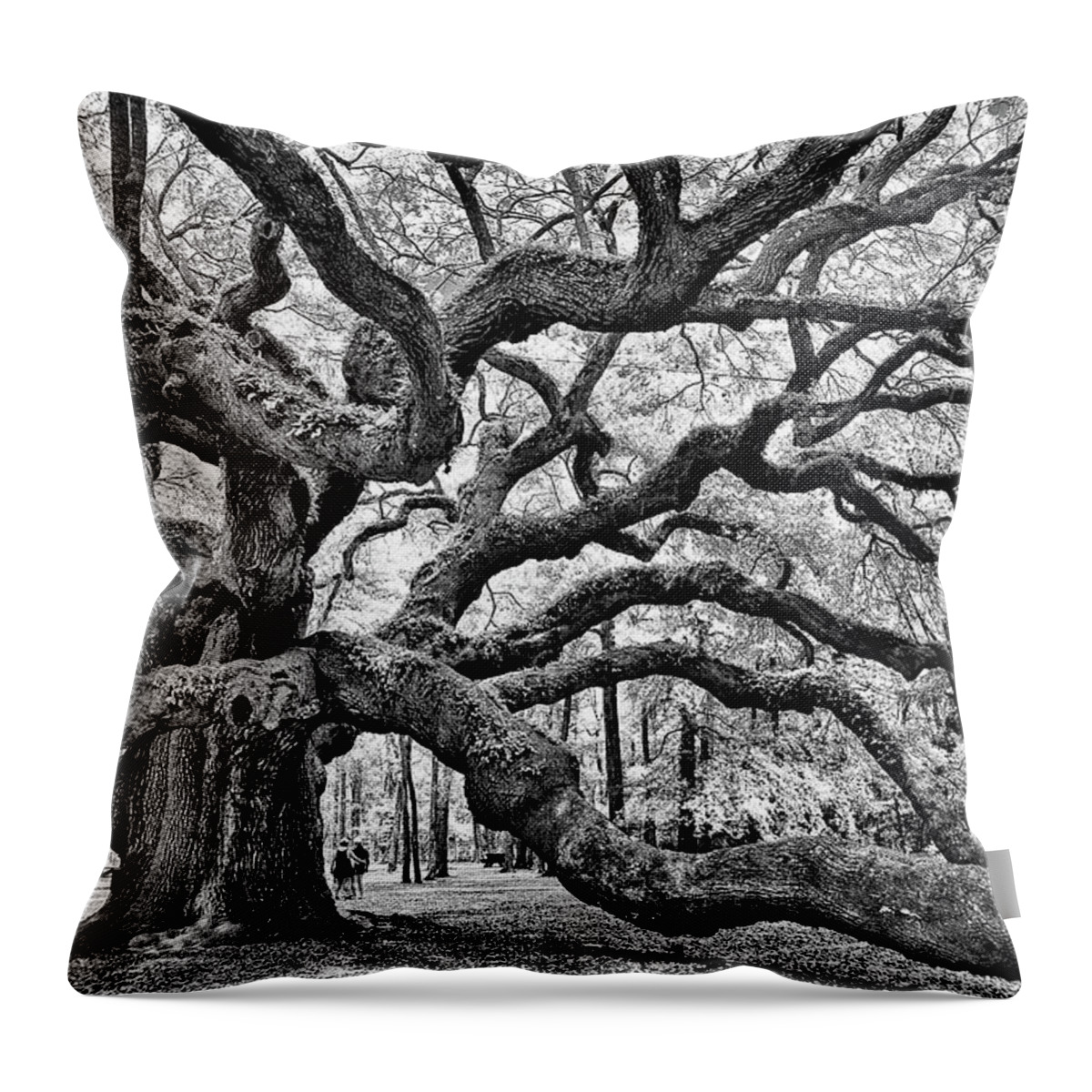 Charleston Throw Pillow featuring the photograph Angel Oak Tree by Louis Dallara