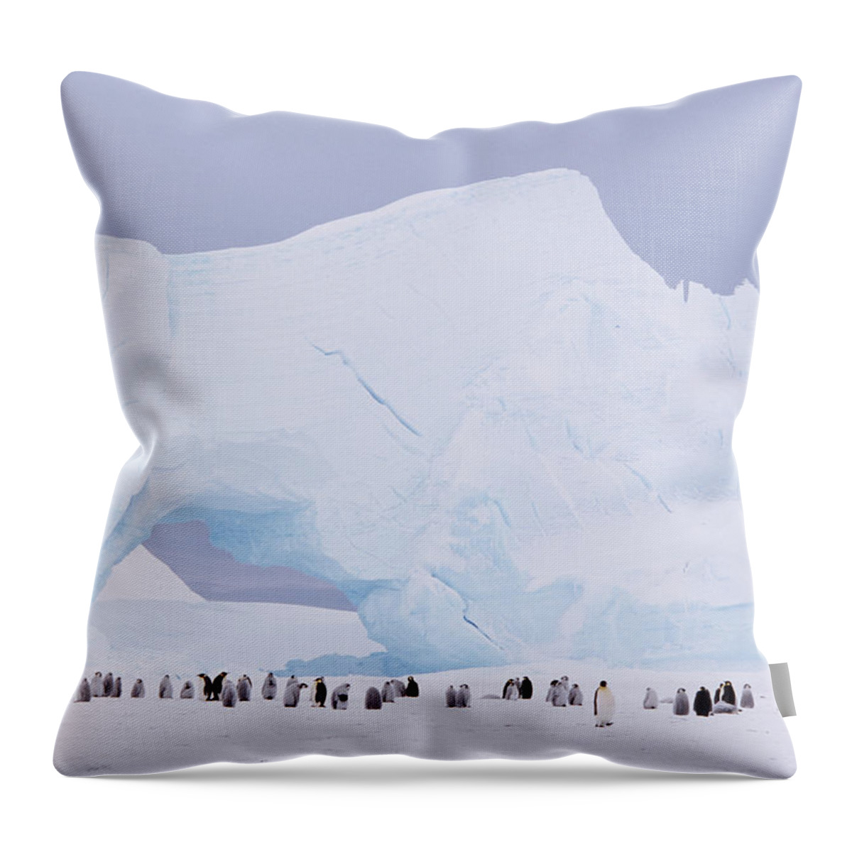 Emperor Penguin Throw Pillow featuring the photograph Antarctica, Emperor Penguin Aptenodytes by Joseph Van Os