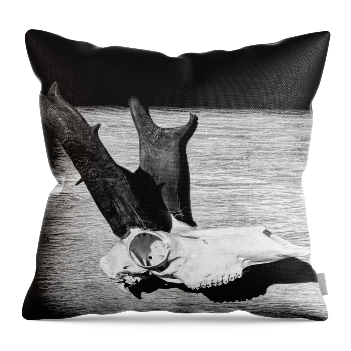 Kansas Throw Pillow featuring the photograph Antelope 001 by Rob Graham