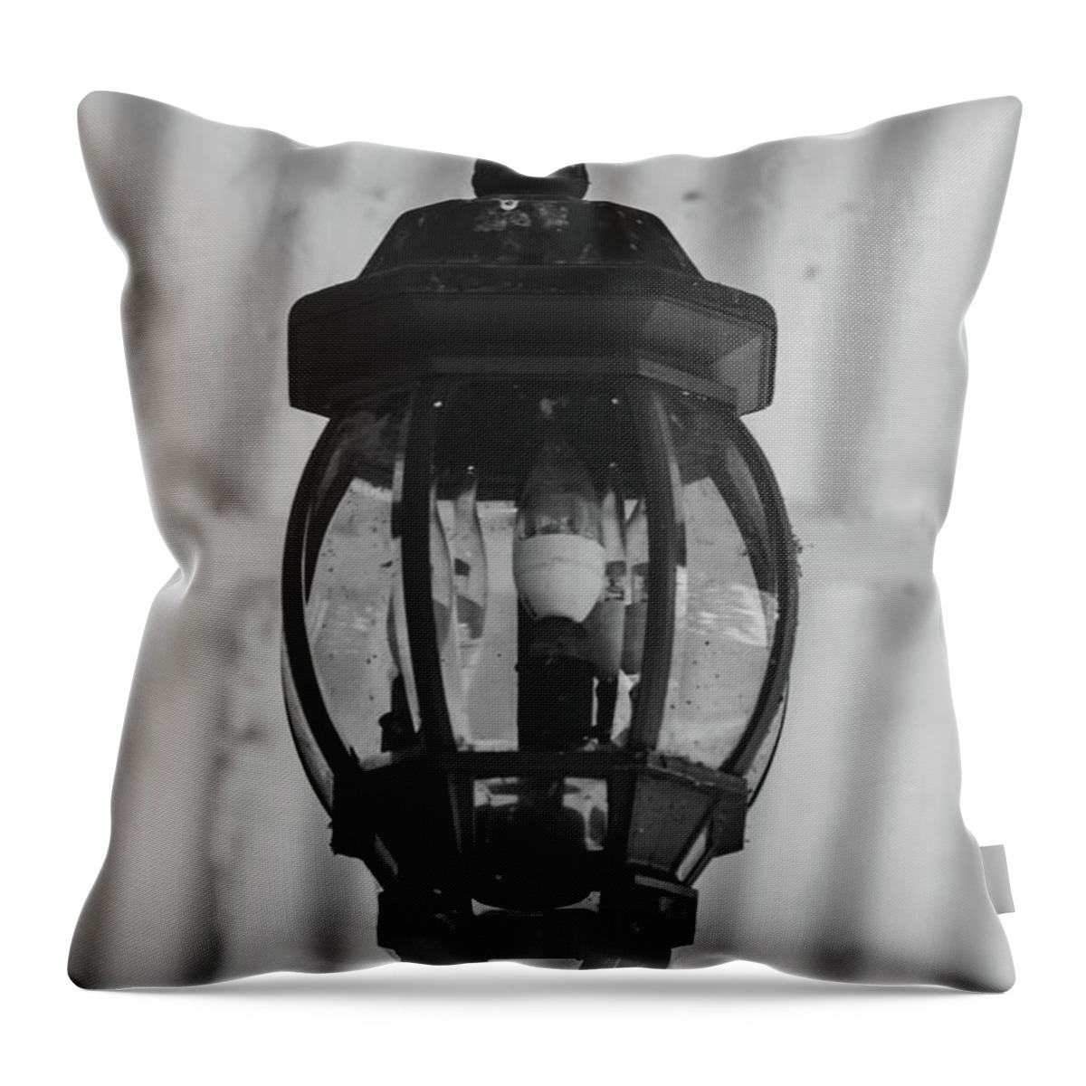 Photograph Throw Pillow featuring the photograph Antique Light by Kelly Thackeray