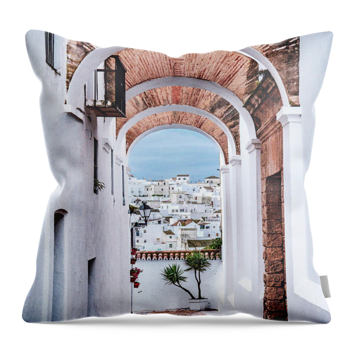 Kremsdorf Throw Pillow featuring the photograph Arching The Light by Evelina Kremsdorf