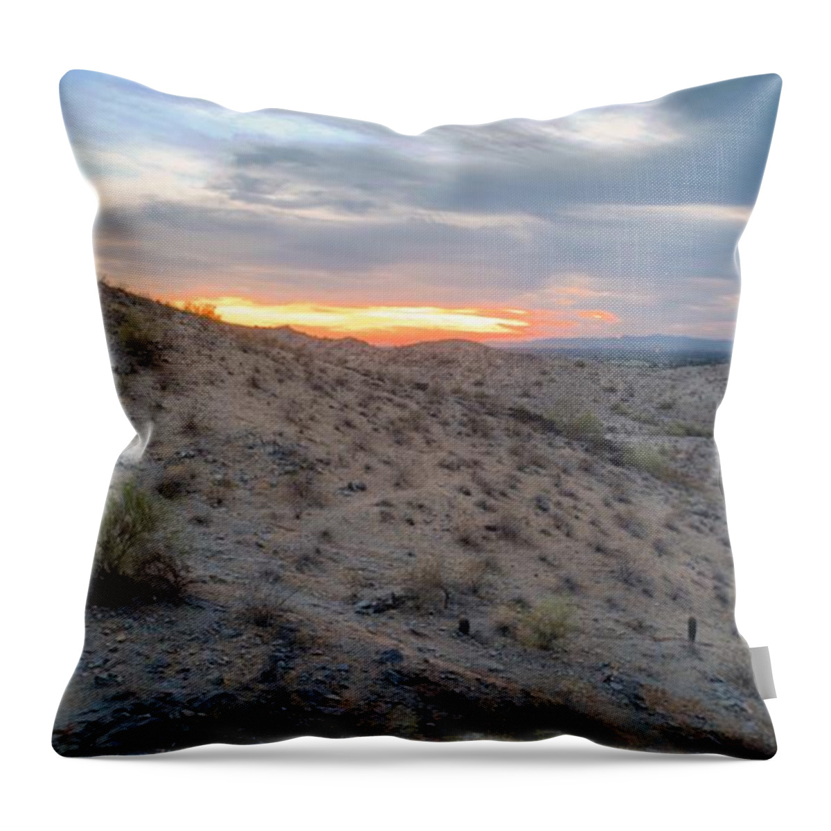 Desert Throw Pillow featuring the photograph Arizona Desert by Anthony Giammarino