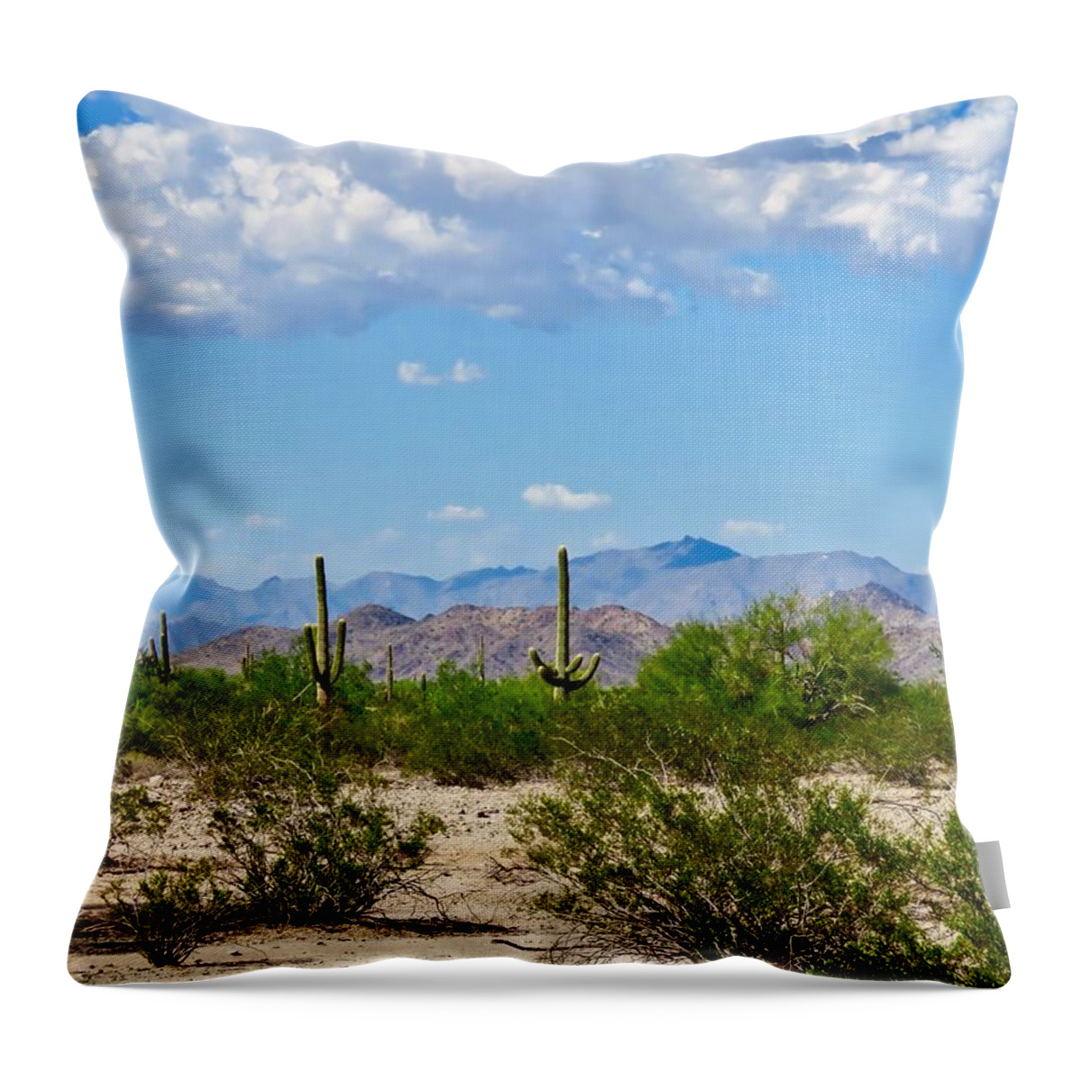 Arizona Throw Pillow featuring the photograph Arizona Desert Hidden Valley by Judy Kennedy