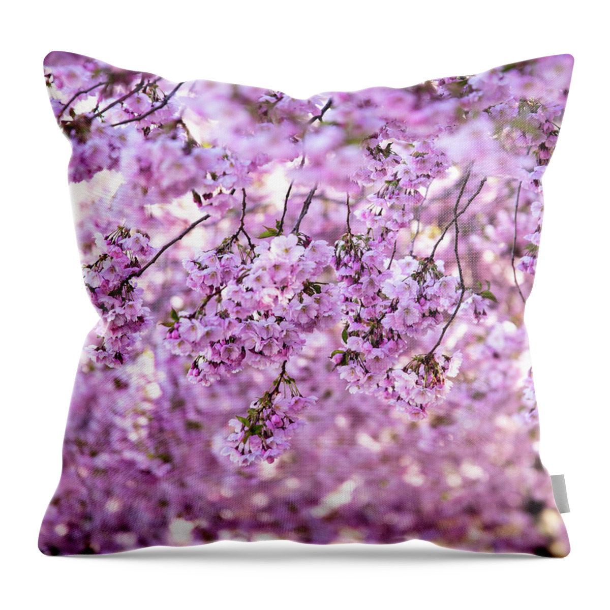 Cherry Throw Pillow featuring the photograph Cherry Blossom Flowers by Nicklas Gustafsson