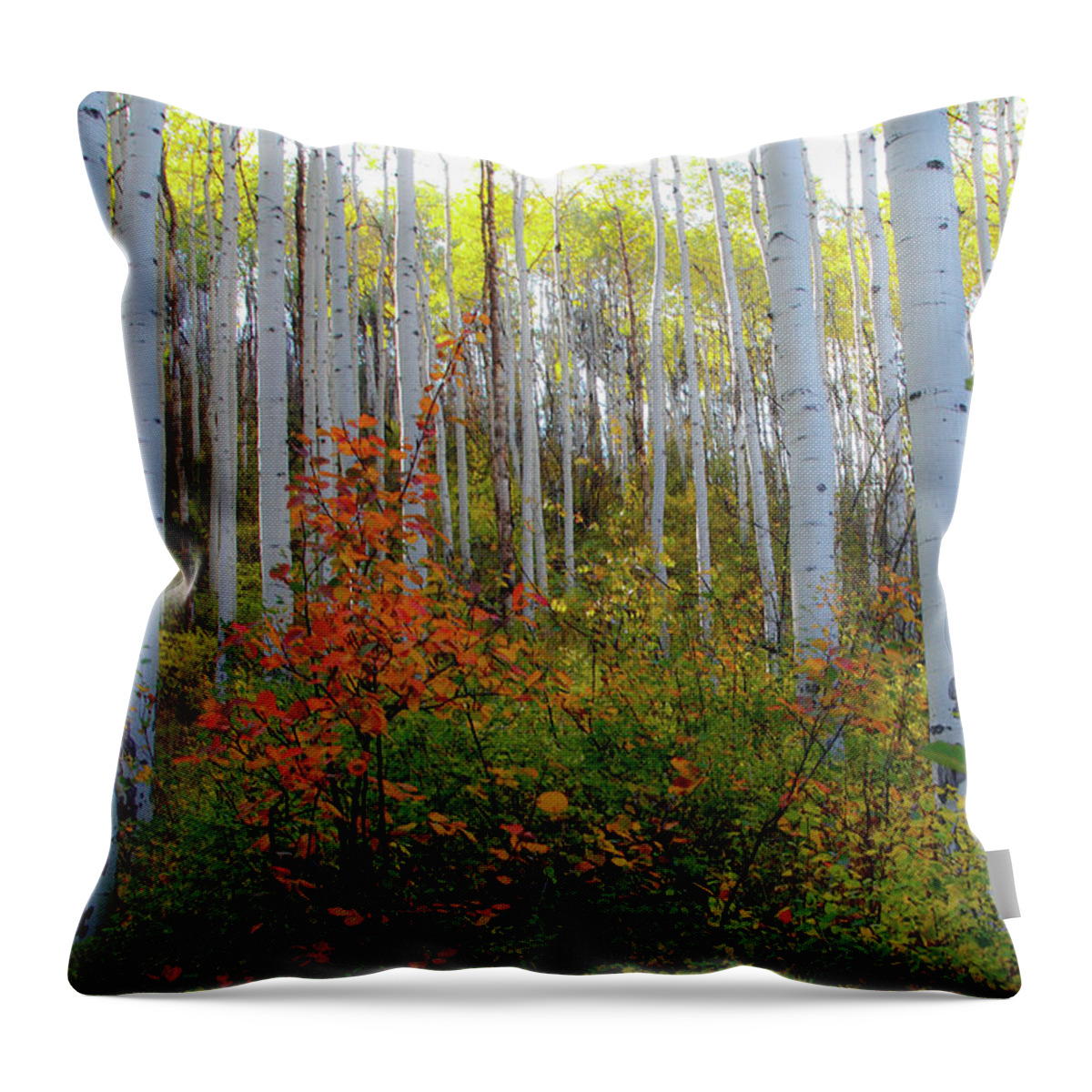Closeup of tree fork with thick branches Throw Pillow by Stefan