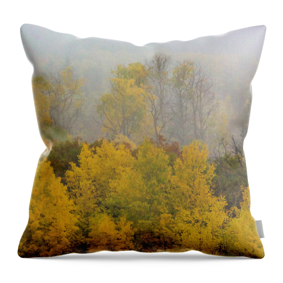 America Throw Pillow featuring the photograph Aspen Trees In Fog by John De Bord
