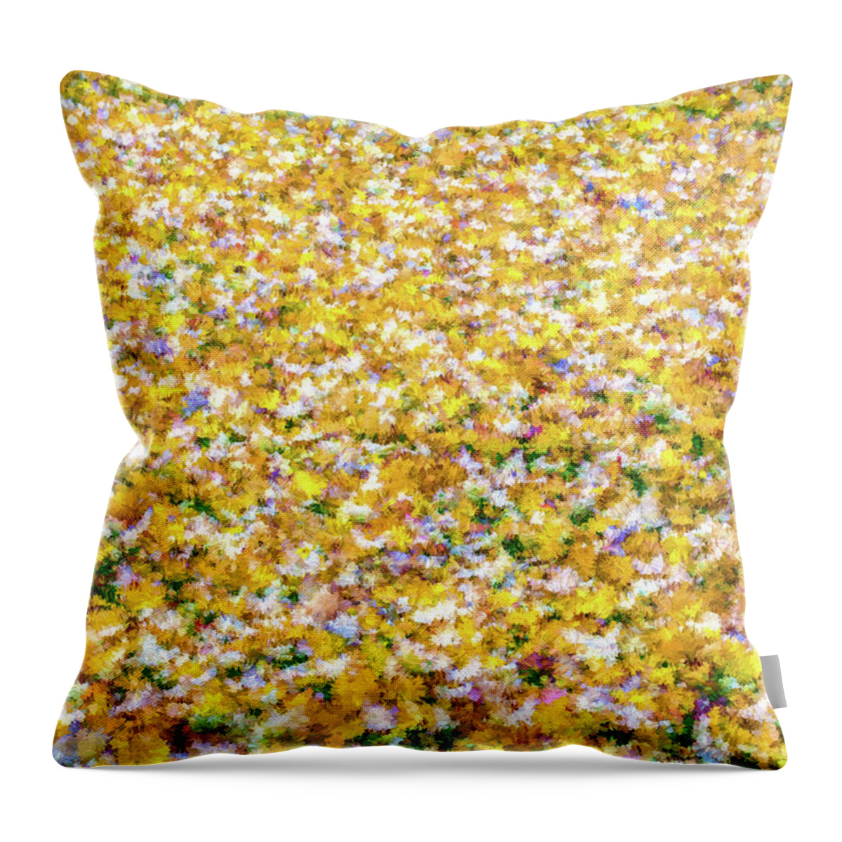 David Letts Throw Pillow featuring the photograph Autumn Abstract by David Letts