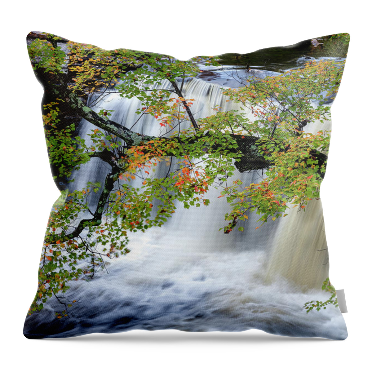 Petit Jean Mountain Throw Pillow featuring the photograph Autumn Branch by James Barber