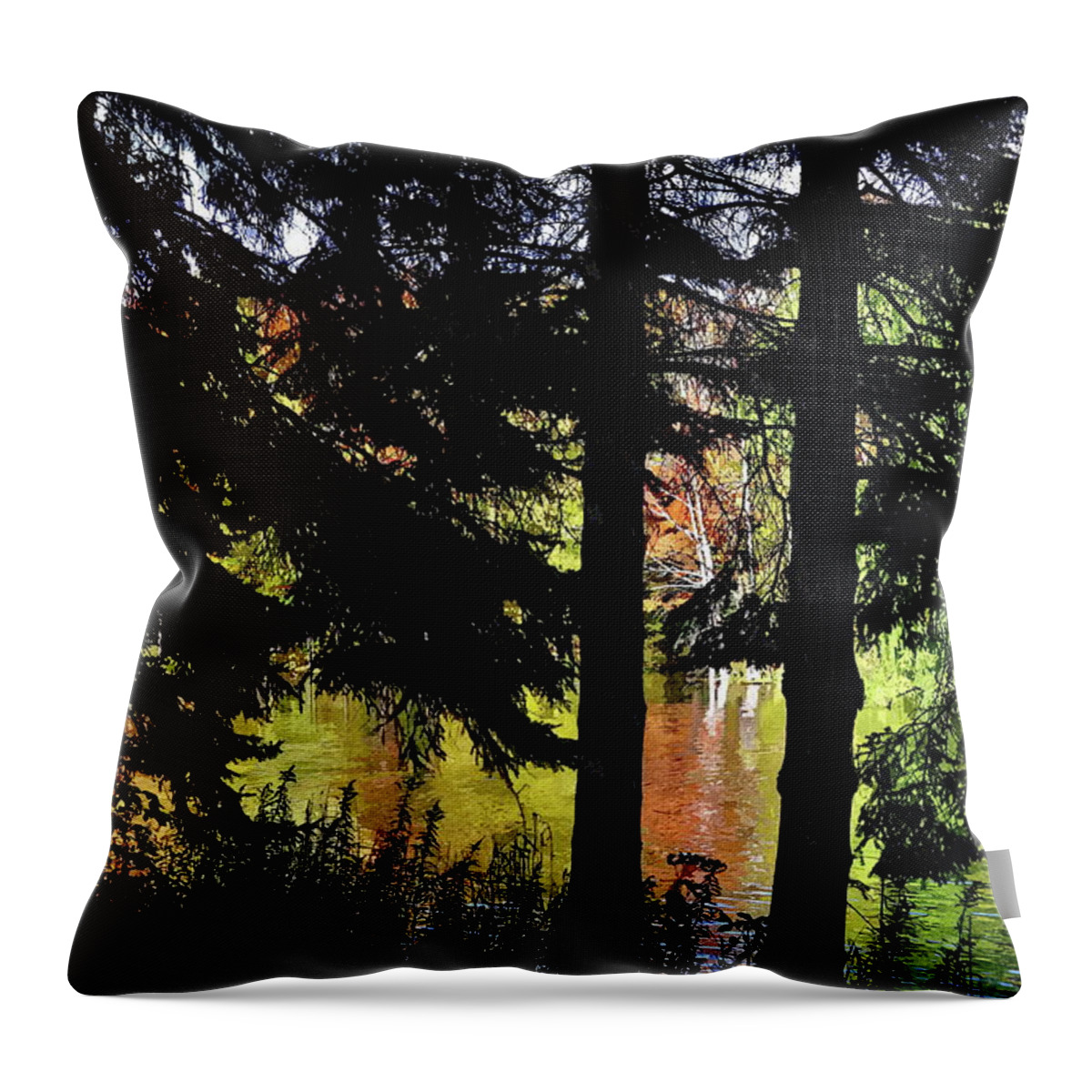 Pond Throw Pillow featuring the photograph Autumn Colors at the Spa by Andrea Kollo