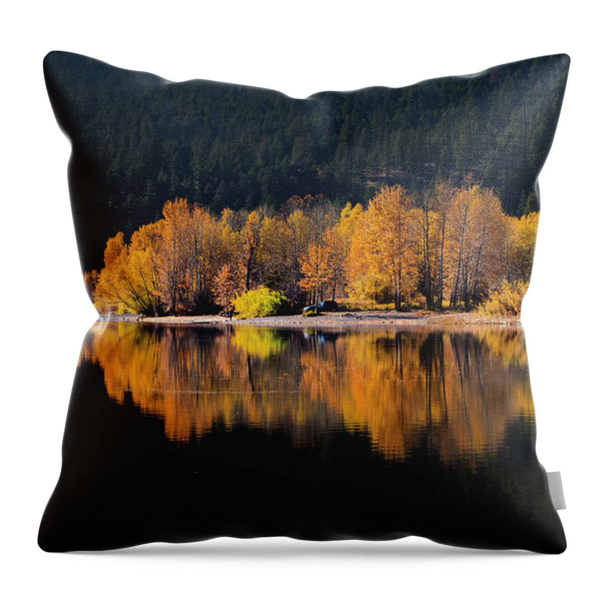 Seasons Throw Pillow featuring the photograph Autumn Days by Theresa Tahara