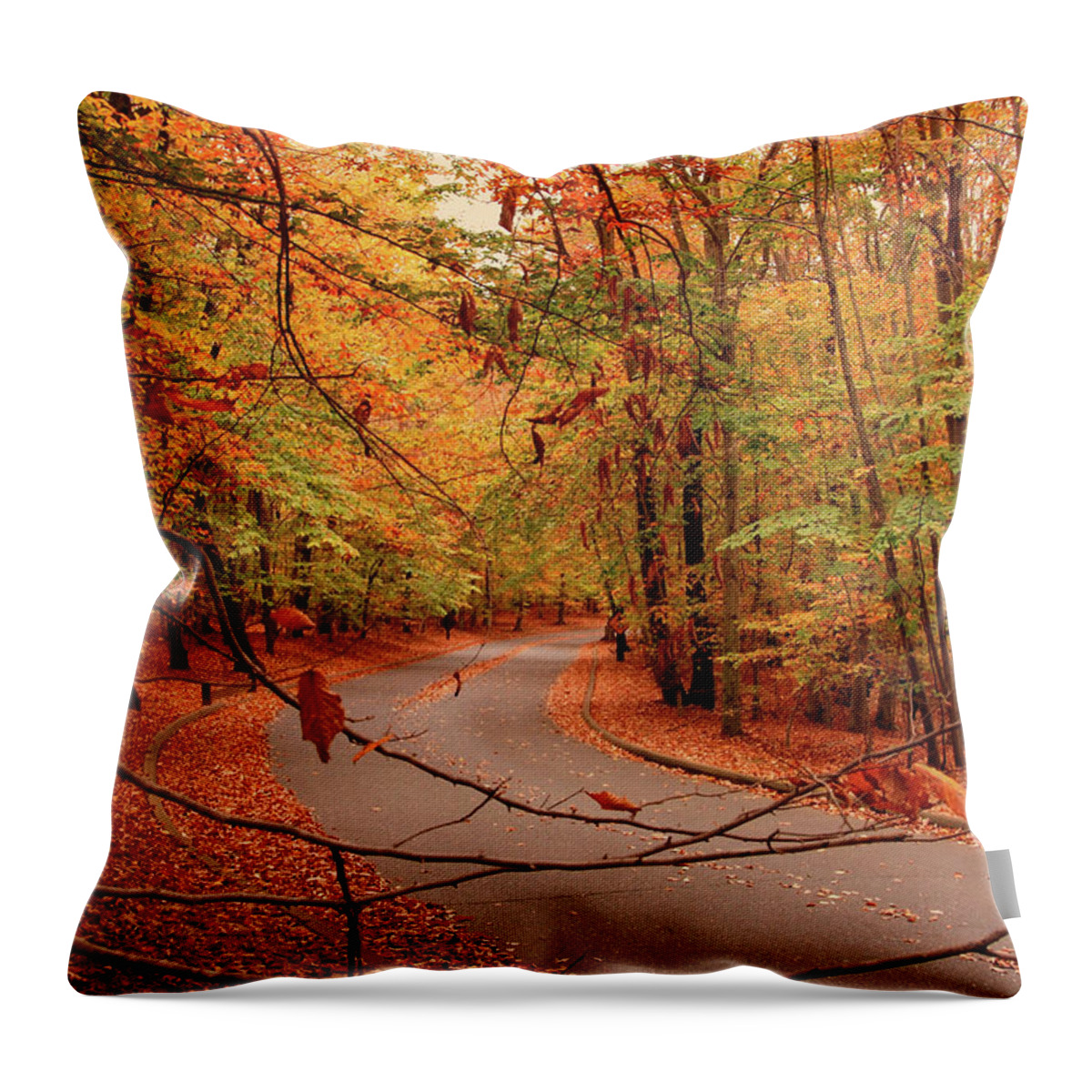Autumn Throw Pillow featuring the photograph Autumn In Holmdel Park by Angie Tirado