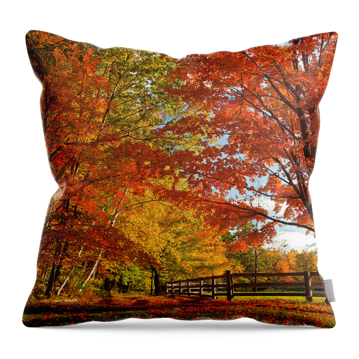 Estock Throw Pillow featuring the digital art Autumn Near Conway, New Hampshire by Claudia Uripos