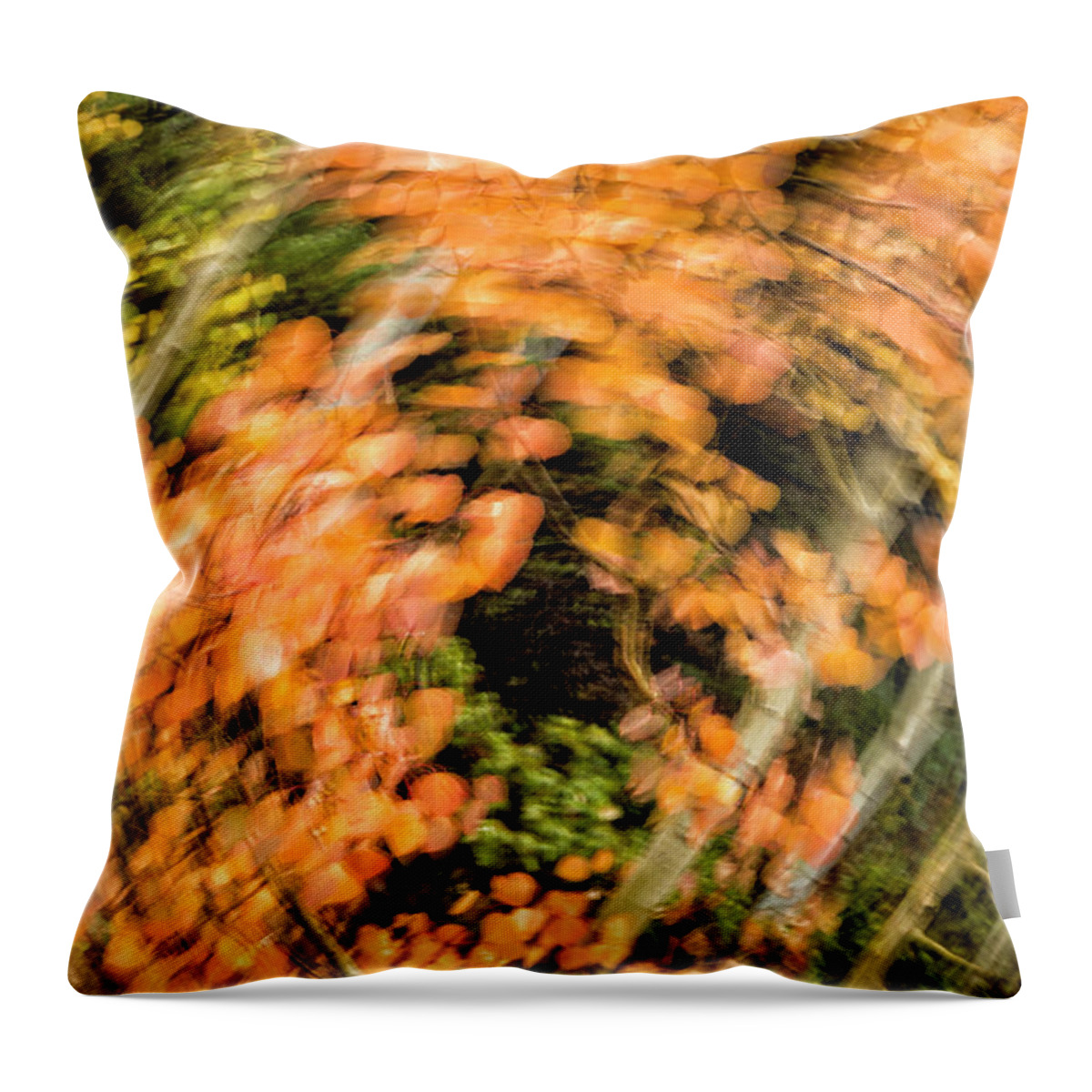 Abstract Throw Pillow featuring the photograph Autumn Vortex by Denise Bush