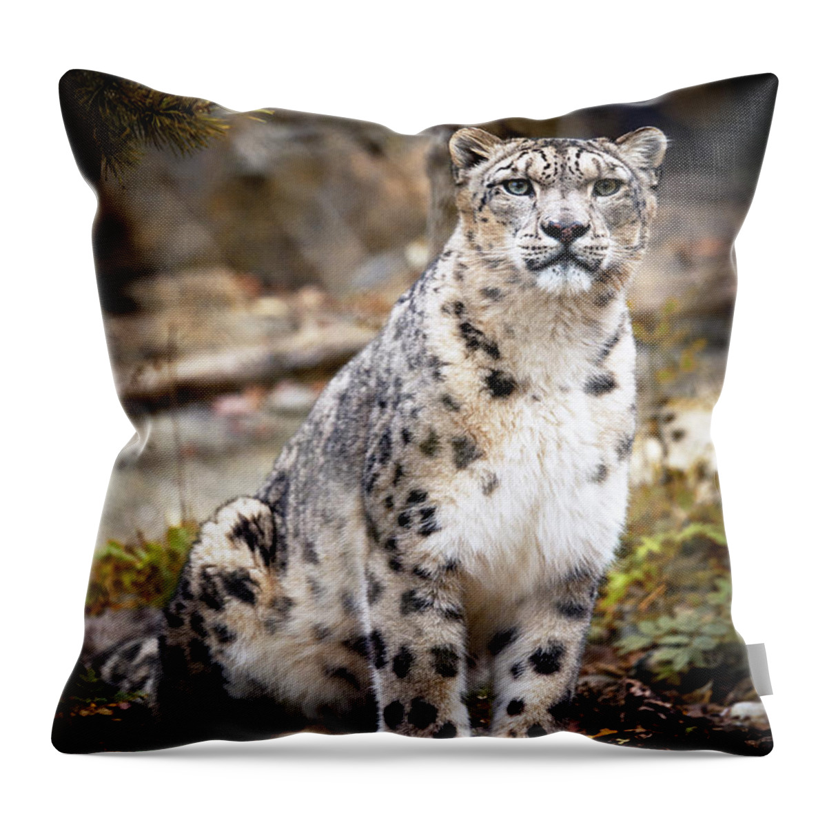 Snow Throw Pillow featuring the photograph AutumnalLeopard by Chris Boulton