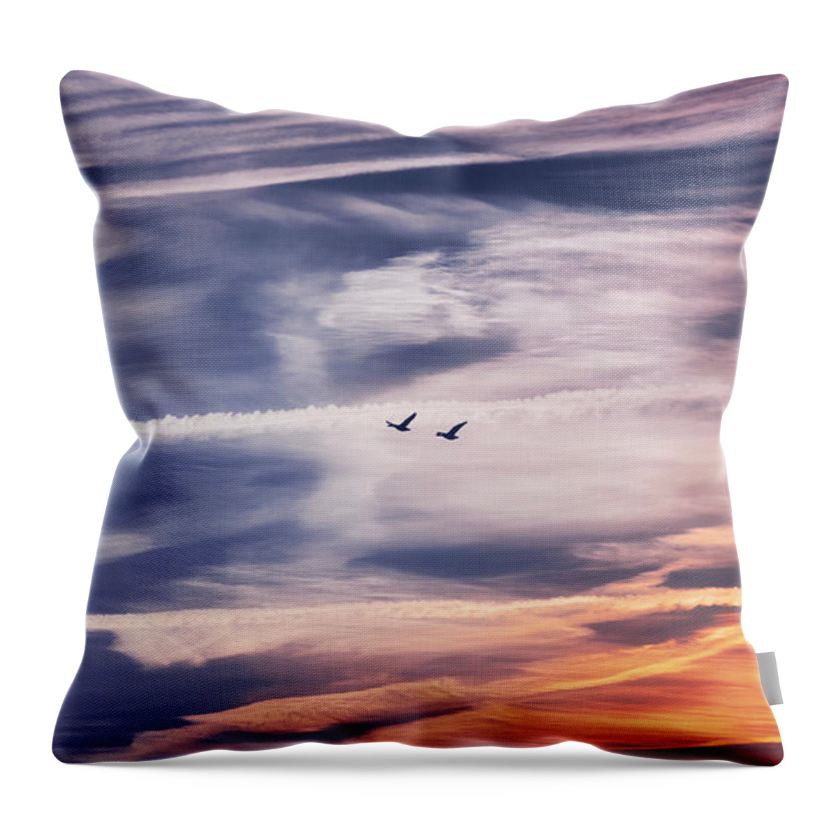 Sky Throw Pillow featuring the photograph Back to the Sky by Jaroslav Buna