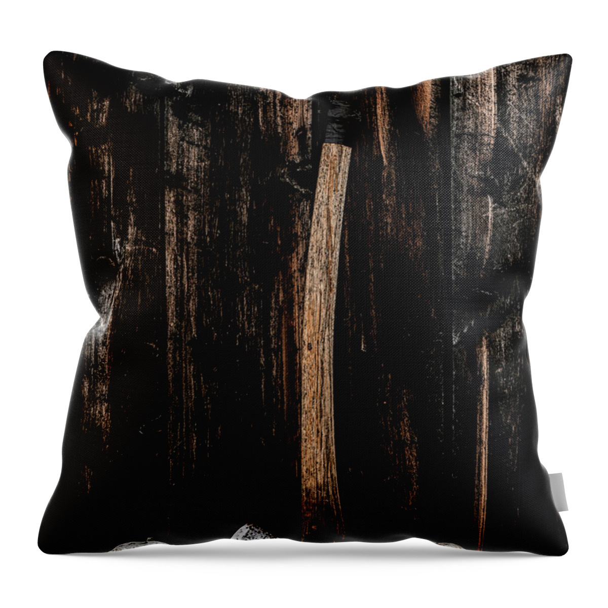 Alaska Throw Pillow featuring the photograph Backcountry by Fred Denner