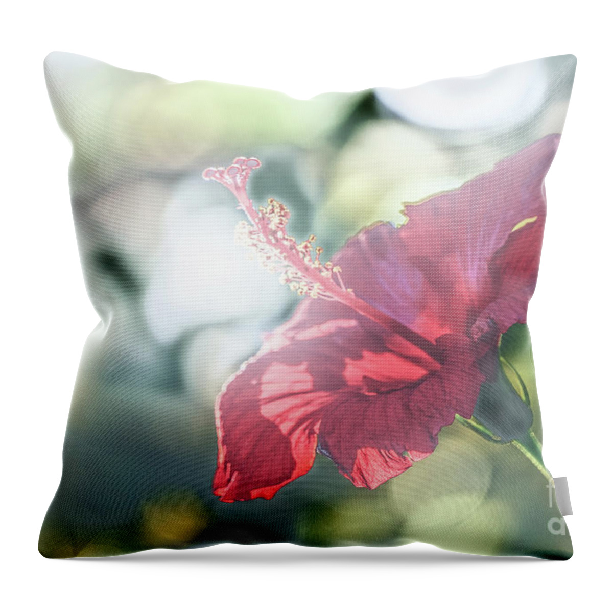 Flower Throw Pillow featuring the photograph Backlit Stamin by Darcy Dietrich