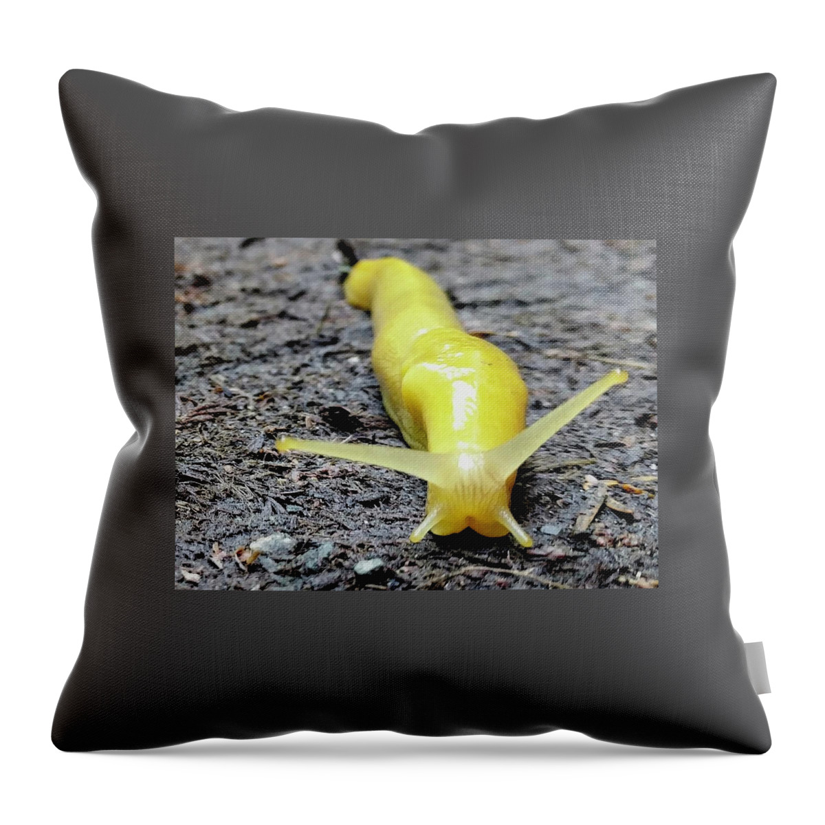 Yellow Throw Pillow featuring the photograph Banana Slug by Misty Morehead
