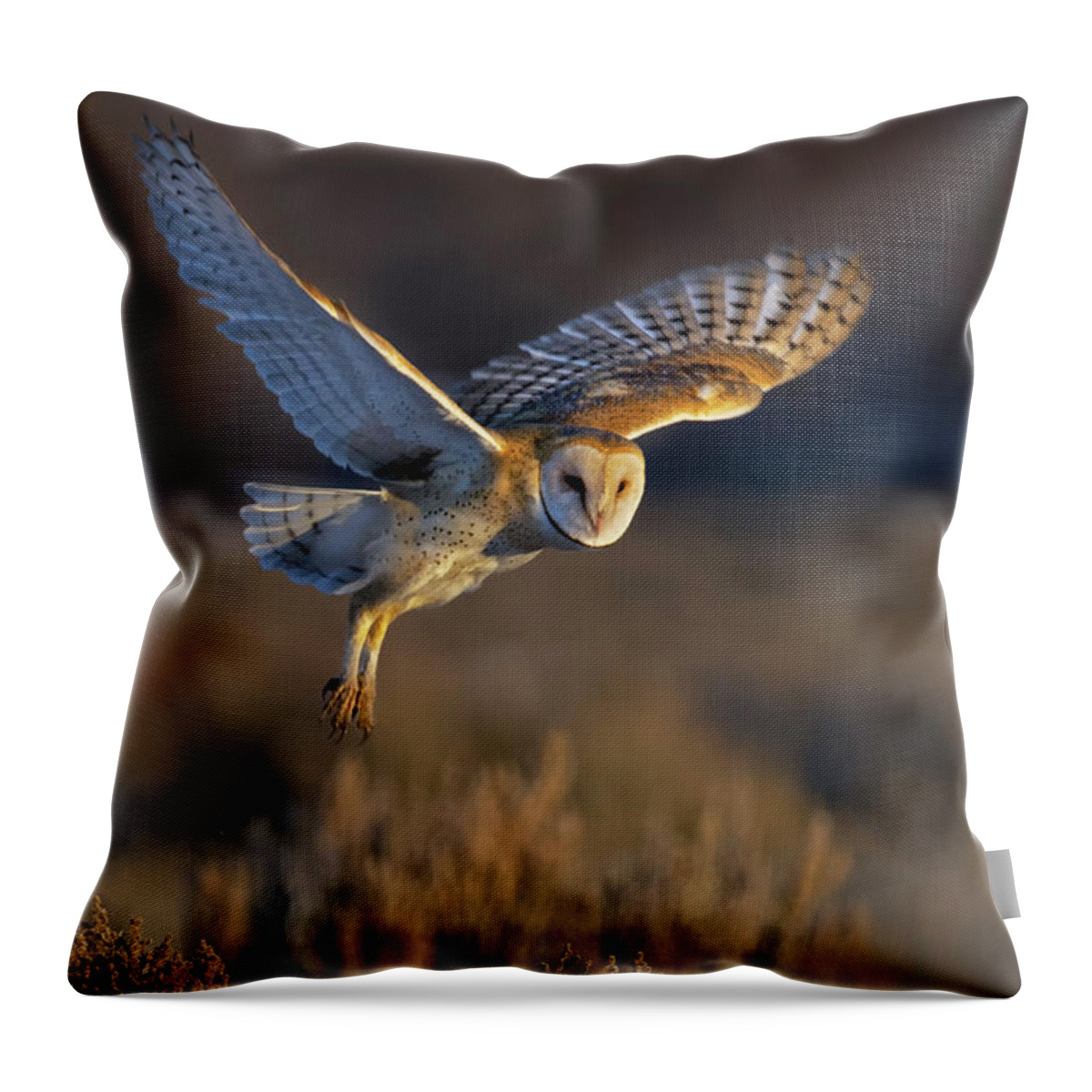 Barn Owl Throw Pillow featuring the photograph Barn Owl Take Off by Rick Mosher