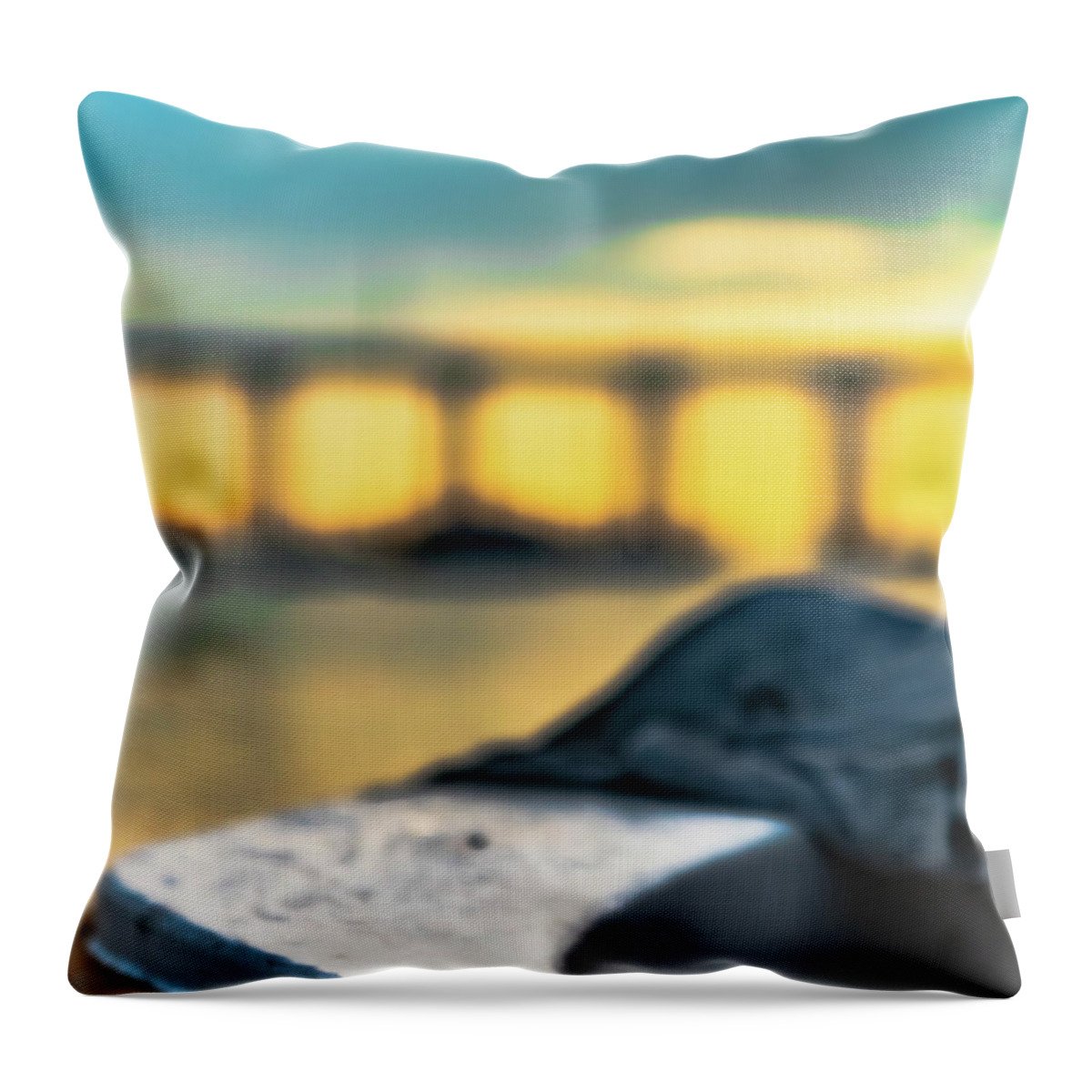 Boat Throw Pillow featuring the photograph Beach Parking by Local Snaps Photography