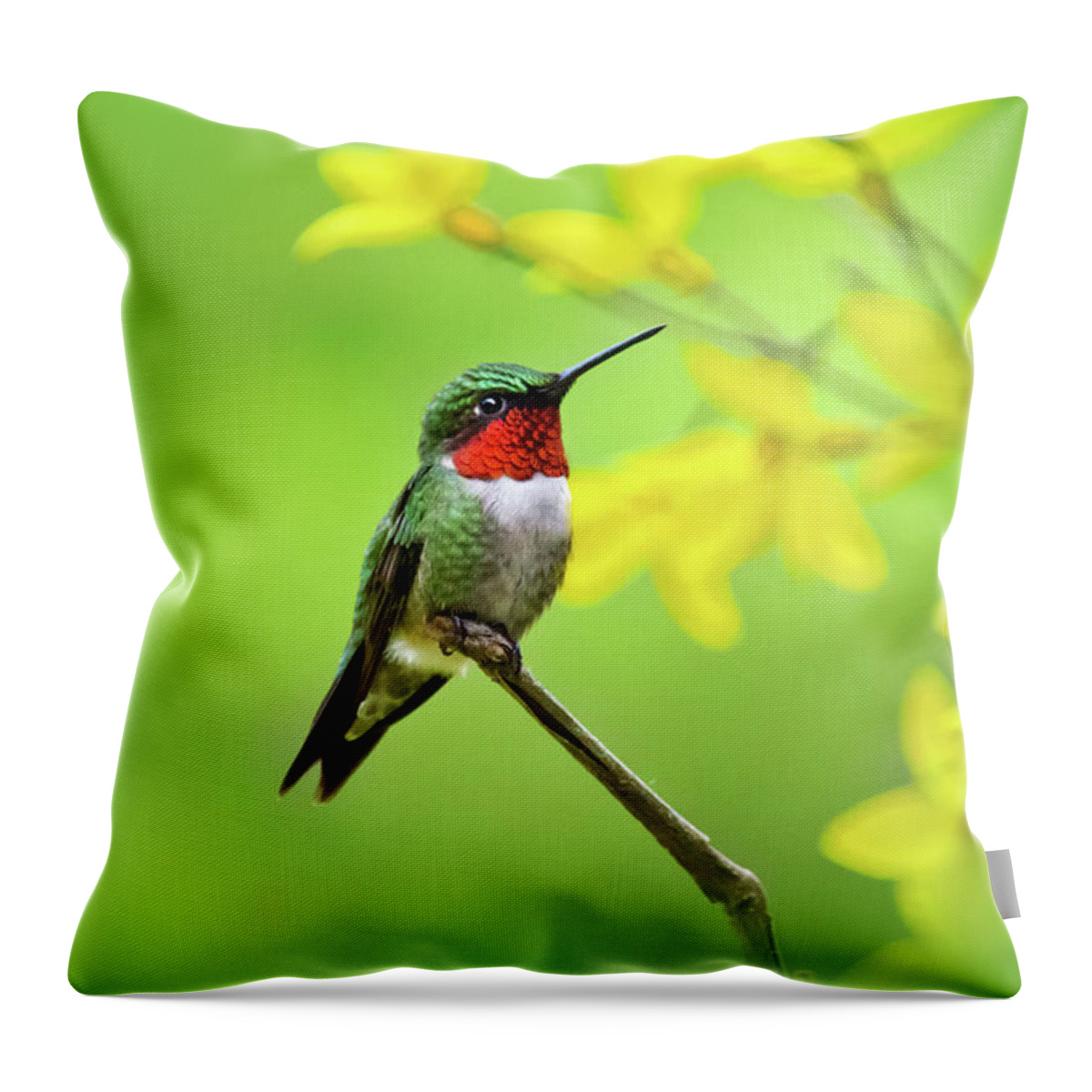 Hummingbird Throw Pillow featuring the photograph Beautiful Summer Hummer by Christina Rollo