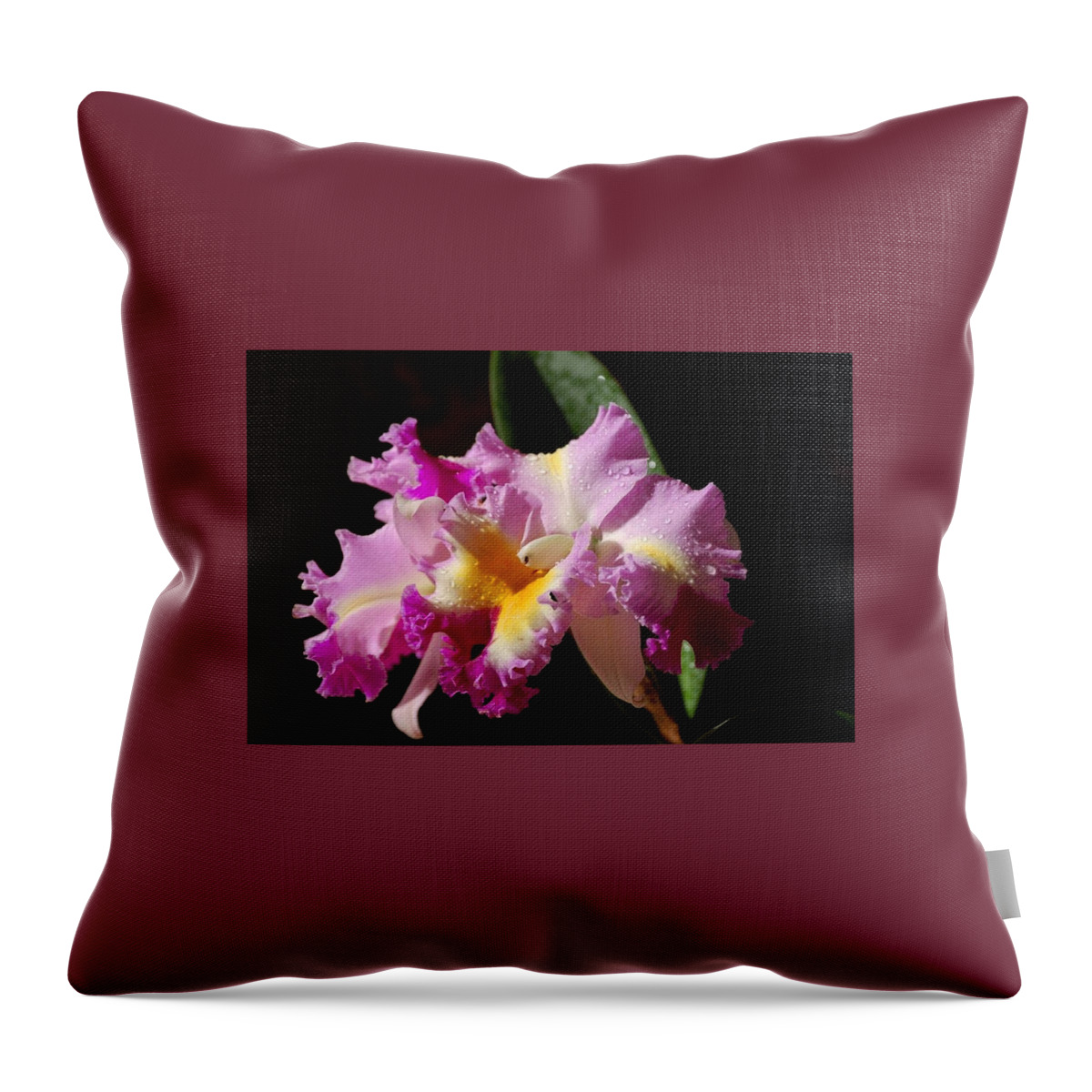Orchid Throw Pillow featuring the photograph Best Cattleya by Nancy Ayanna Wyatt