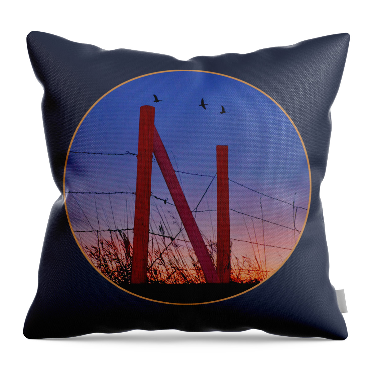 Big Red - Nebraska - Transparent Throw Pillow by Nikolyn McDonald