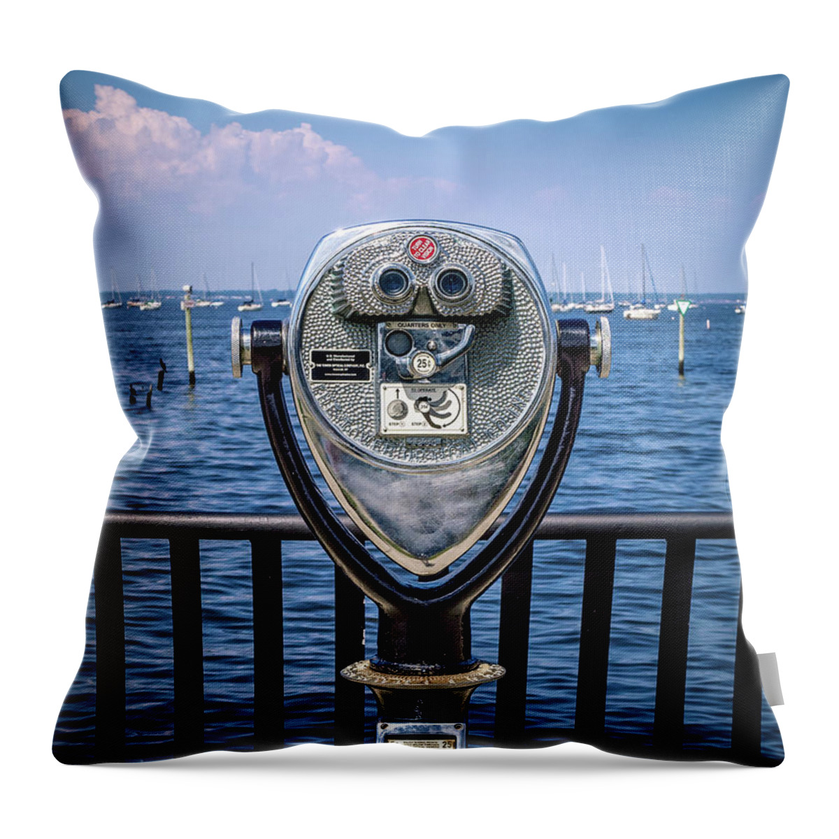 Keyport Throw Pillow featuring the photograph Binocular Viewer by Steve Stanger